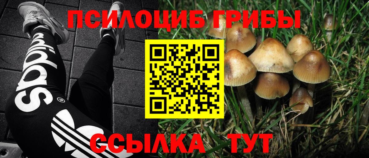 Галлюциногенные грибы прущие грибы Люберцы