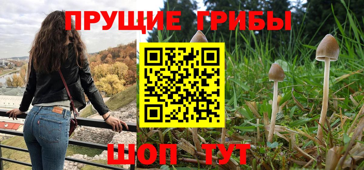Галлюциногенные грибы мицелий  Галлюциногенные грибы мицелий  Люберцы  Вход с VPN 